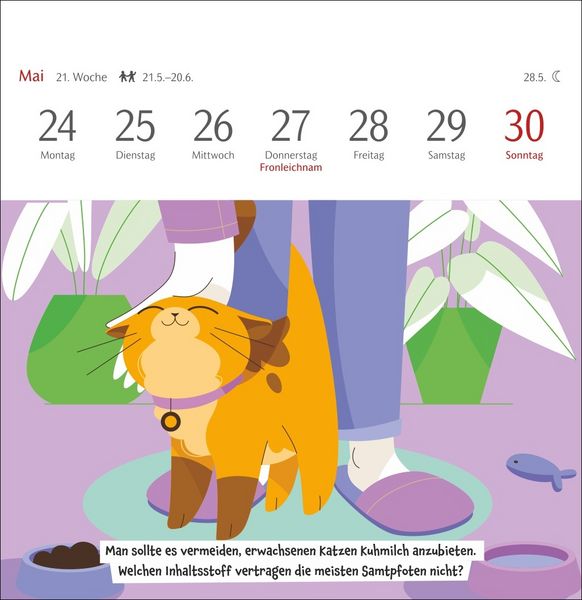 Produktbild: Unn&uuml;tzes-Wissen-Quiz Katzen Premium-Postkartenkalender 2027 - Kalender mit 53 R&auml;tselkarten