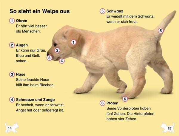 Produktbild: SUPERLESER! Wuffis neues Zuhause