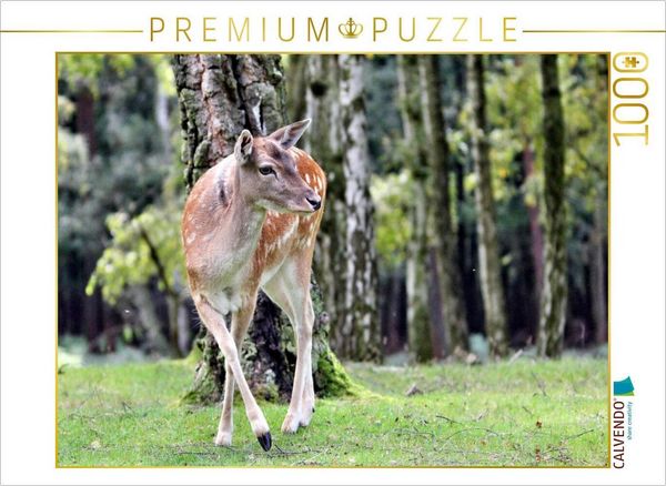 Produktbild: CALVENDO Puzzle Der Sikahirsch - Der kleine Asiat in unseren W&auml;ldern | 1000 Teile Lege-Gr&ouml;&szlig;e 64x48cm Foto-Puzzle f&uuml;r gl&uuml;ckliche Stunden
