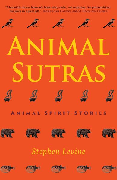 Produktbild: Animal Sutras