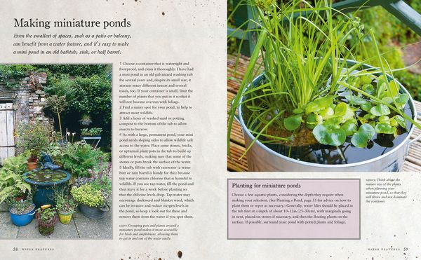 Produktbild: Urban Wildlife Gardening
