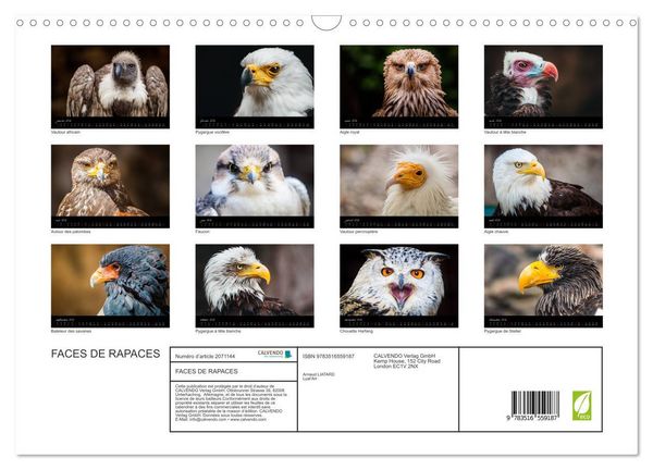 Produktbild: FACES DE RAPACES (Calendrier mural 2026 DIN A3 vertical), CALVENDO calendrier mensuel