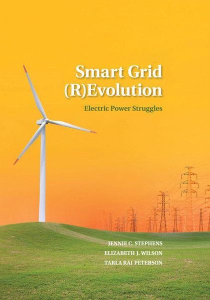 Produktbild: Smart Grid (R)Evolution