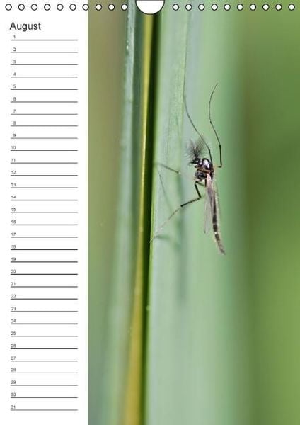 Produktbild: Tierische Kleinigkeiten / Geburtstagskalender (Wandkalender immerw&auml;hrend DIN A4 hoch)