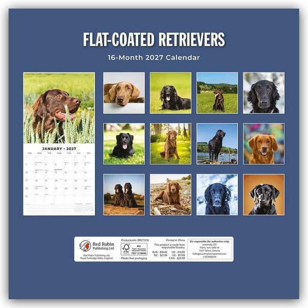 Produktbild: Flat-Coated Retrievers &ndash; Flat Coated Retriever 2027 &ndash; 16-Monatskalender