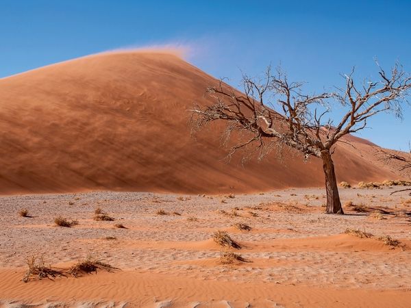 Produktbild: Ein Motiv aus dem Kalender Namibia - Atemberaubende Landschaften und Impressionen (Puzzle)