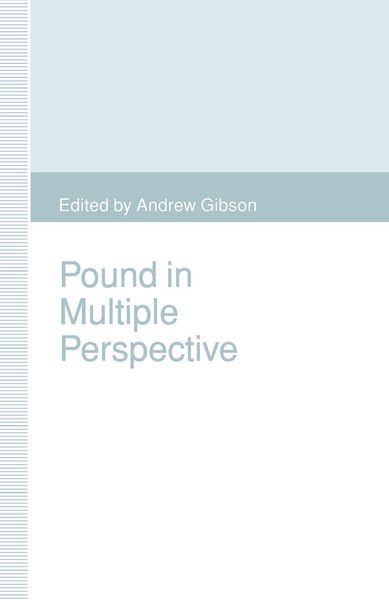 Produktbild: Pound in Multiple Perspective