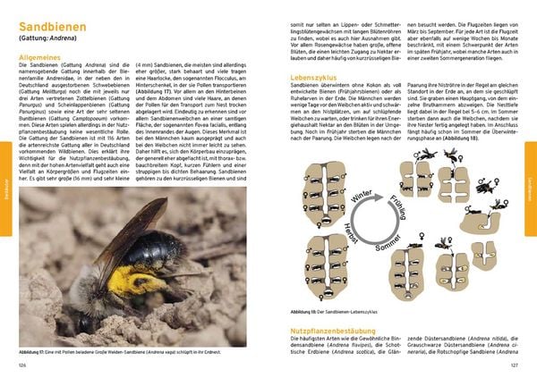 Produktbild: Praxishandbuch Nutzpflanzenbest&auml;ubung