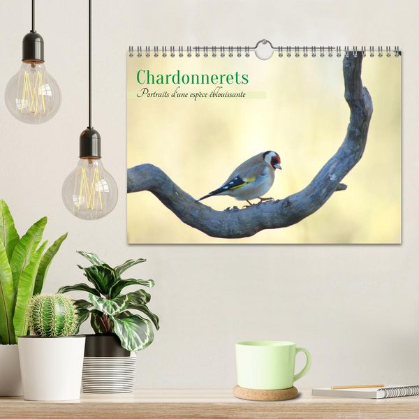 Produktbild: Chardonnerets - Portraits d'une esp&egrave;ce &eacute;blouissante (Calendrier mural 2026 DIN A4 vertical), CALVENDO calendrier mensuel