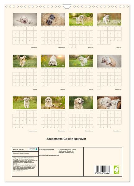 Produktbild: Zauberhafte Golden Retriever (Wandkalender 2026 DIN A3 hoch), CALVENDO Monatskalender