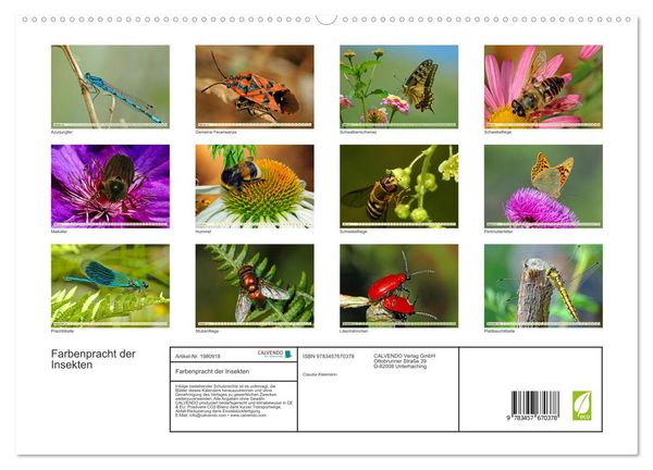 Produktbild: Farbenpracht der Insekten (hochwertiger Premium Wandkalender 2026 DIN A2 quer), Kunstdruck in Hochglanz