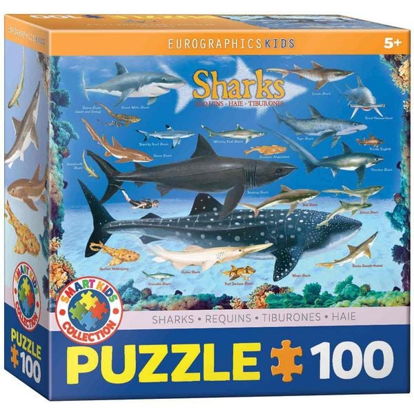 Produktbild: Sharks 100 Pieces Eurographics Kids 5+