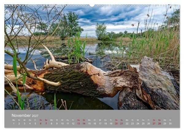Produktbild: Nationalpark Unteres Odertal (Wandkalender 2027 DIN A2 quer), CALVENDO Monatskalender