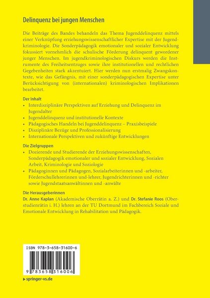 Produktbild: Delinquenz bei jungen Menschen