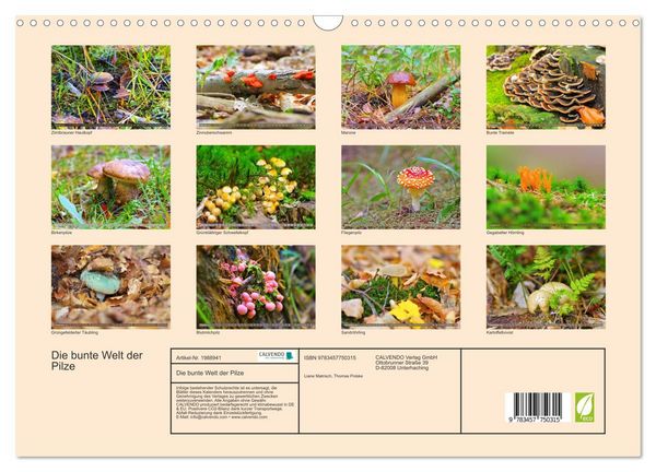 Produktbild: Die bunte Welt der Pilze (Wandkalender 2026 DIN A3 quer), CALVENDO Monatskalender