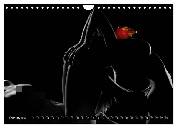 Produktbild: Fruit Nudes (Wall Calendar 2026 DIN A4 landscape), CALVENDO 12 Month Wall Calendar