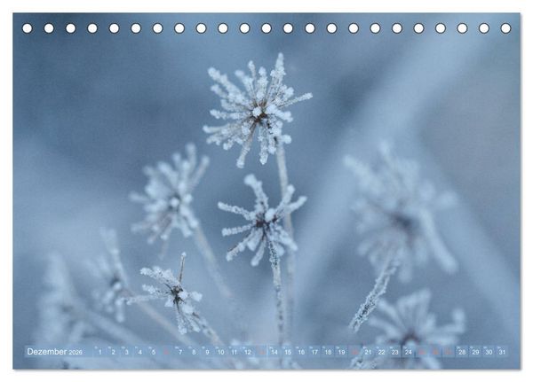 Produktbild: Die Poesie der Pflanzenwelt - Im Wandel der Jahreszeiten (Tischkalender 2026 DIN A5 quer), CALVENDO Monatskalender