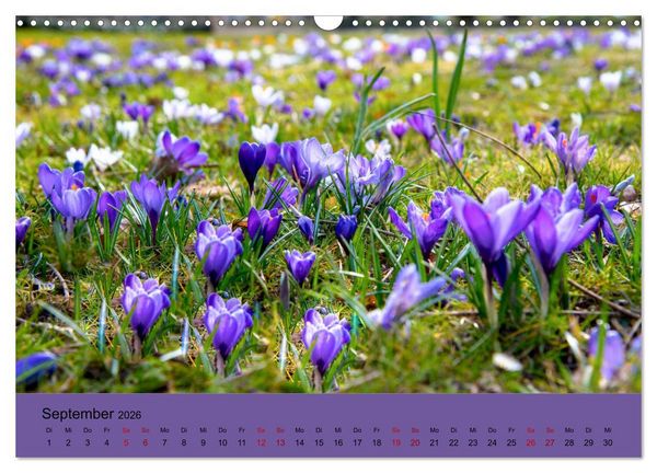 Produktbild: Kurpark Baden-Baden (Wandkalender 2026 DIN A3 quer), CALVENDO Monatskalender