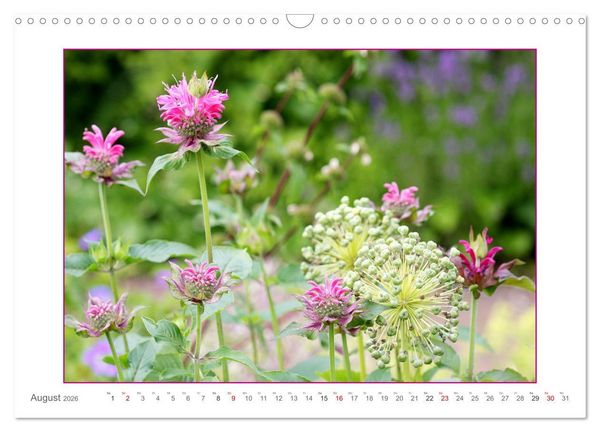 Produktbild: Sanfte Natur (Wandkalender 2026 DIN A3 quer), CALVENDO Monatskalender