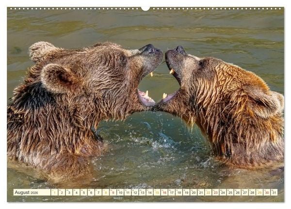 Produktbild: B&uuml;hne frei f&uuml;r - Alaska (hochwertiger Premium Wandkalender 2026 DIN A2 quer), Kunstdruck in Hochglanz