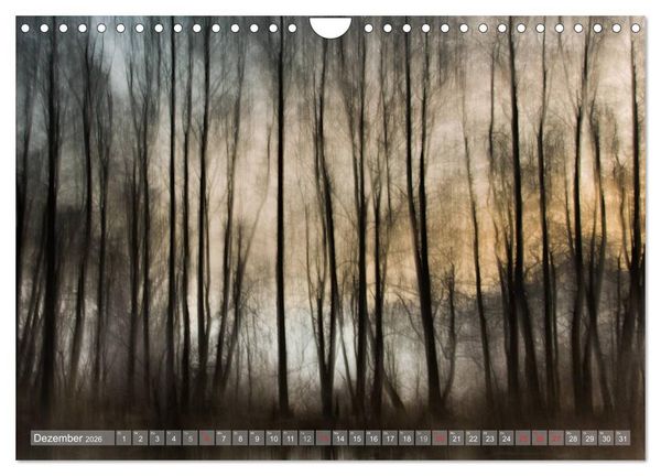 Produktbild: Atelier Wald - gemalt mit Licht (Wandkalender 2026 DIN A4 quer), CALVENDO Monatskalender