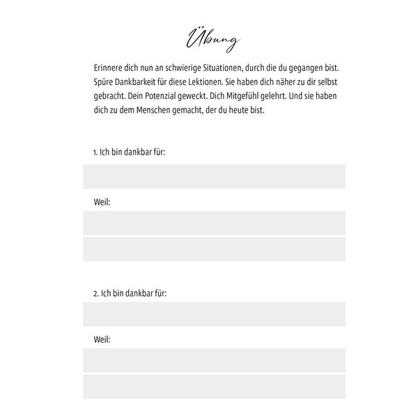 Produktbild: Das Randa-Prinzip
