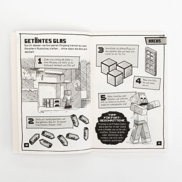 Produktbild: Minecraft Tipps, Tricks & Hacks. &Uuml;ber 200 Game Changer f&uuml;r schnellen Erfolg