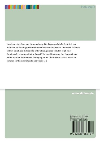 Produktbild: Problemlagen von Schulen f&uuml;r Lernbehinderte in Chemnitz im Jahr 2001