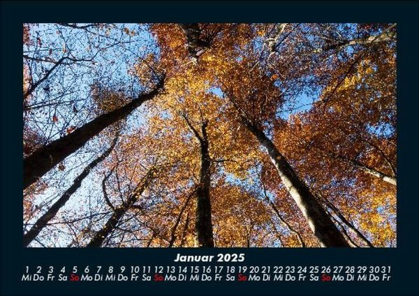 Produktbild: Waldzauber 2025 Fotokalender DIN A5