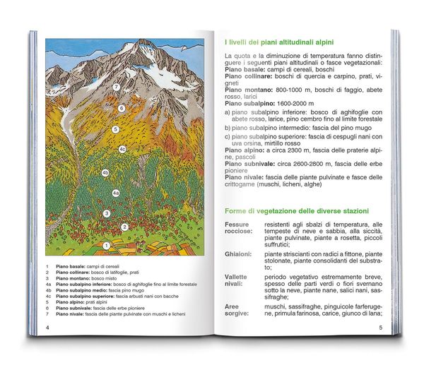 Produktbild: Fiori alpini
