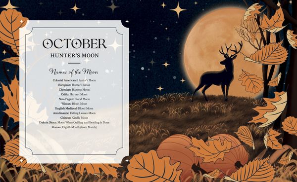 Produktbild: The Full Moon Yearbook