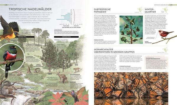 Produktbild: Wilde Welten