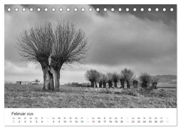 Produktbild: B&auml;ume - Natursch&ouml;nheiten in schwarz-wei&szlig; (Tischkalender 2026 DIN A5 quer), CALVENDO Monatskalender