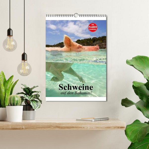 Produktbild: Schweine auf den Bahamas! (Wandkalender 2026 DIN A3 hoch), CALVENDO Monatskalender
