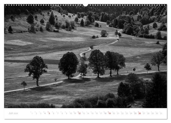 Produktbild: Mystischer Schwarzwald (Wandkalender 2026 DIN A2 quer), CALVENDO Monatskalender