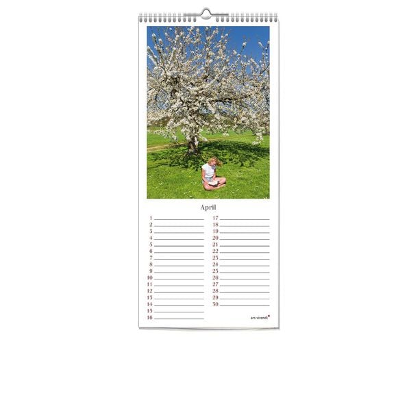 Produktbild: Geburstagskalender Lesen, immerw&auml;hrend (neu)