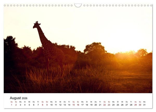 Produktbild: Sambia und der Sambesi (Wandkalender 2026 DIN A3 quer), CALVENDO Monatskalender