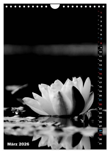 Produktbild: Blumige Graustufen - Schwarz und Wei&szlig; (Wandkalender 2026 DIN A4 hoch), CALVENDO Monatskalender