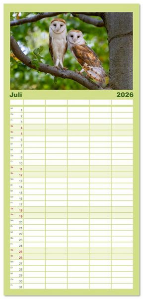 Produktbild: Familienplaner 2026 - Eulen - Fl&uuml;gel der Nacht mit 5 Spalten (Wandkalender, 21 x 45 cm) CALVENDO