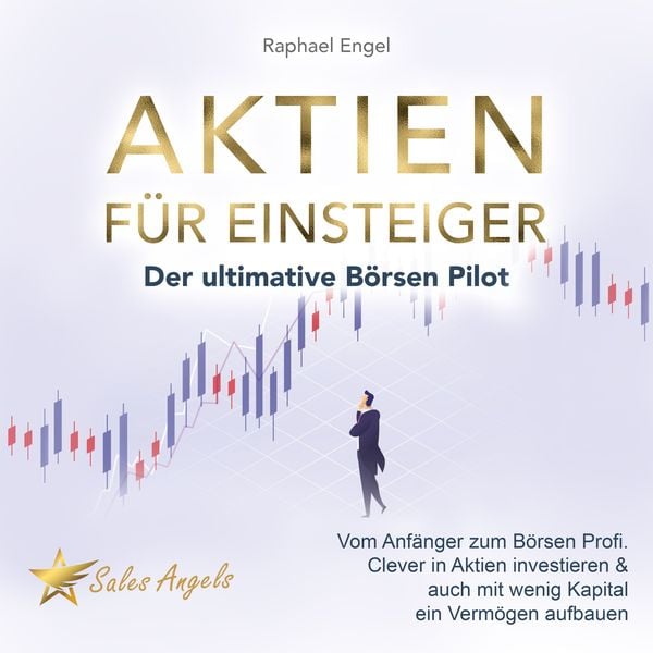 Aktien für Einsteiger – Der ultimative Börsen Pilot: Vom Anfänger zum Börsen Profi. Clever in Aktien investieren & auch mit wenig Kapital ein Vermögen