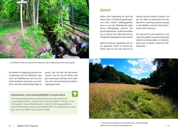 Produktbild: Pilzfotografie - Magische Momente inszenieren