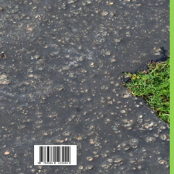 Produktbild: Mit Haiku durch das Jahr