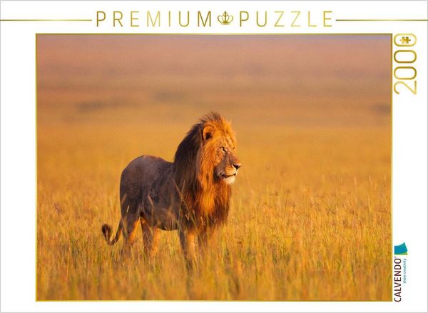 CALVENDO Puzzle Afrikanischer Löwe, Masai Mara, Kenia. | 2000 Teile Lege-Größe 90x67cm Foto-Puzzle für glückliche Stunden