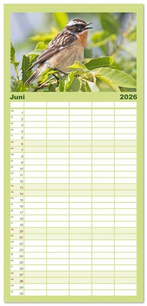 Produktbild: Familienplaner 2026 - V&ouml;gel in unserer Heimat: Kiebitz, Wiedehopf und Turteltaube mit 5 Spalten (Wandkalender, 21 x 45 cm) CALVENDO