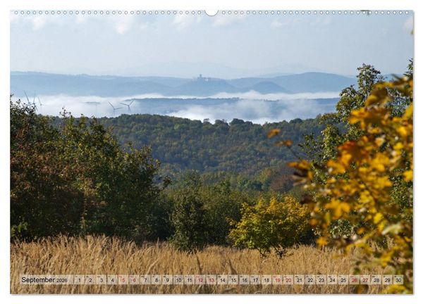 Produktbild: Der Hainich in Th&uuml;ringen - Weltnaturerbe (Wandkalender 2026 DIN A2 quer), CALVENDO Monatskalender