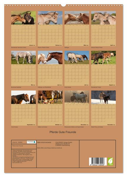 Produktbild: Pferde Gute Freunde (hochwertiger Premium Wandkalender 2026 DIN A2 hoch), Kunstdruck in Hochglanz