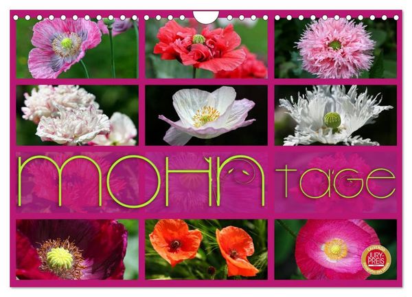 Produktbild: Mohn Tage (Wandkalender 2026 DIN A4 quer), CALVENDO Monatskalender