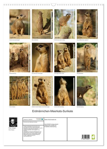 Produktbild: Erdm&auml;nnchen-Meerkats-Surikate (Wandkalender 2026 DIN A2 hoch), CALVENDO Monatskalender