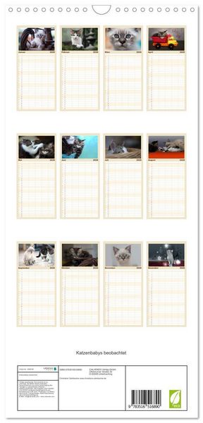 Produktbild: Familienplaner 2026 - Katzenbabys beobachtet mit 5 Spalten (Wandkalender, 21 x 45 cm) CALVENDO