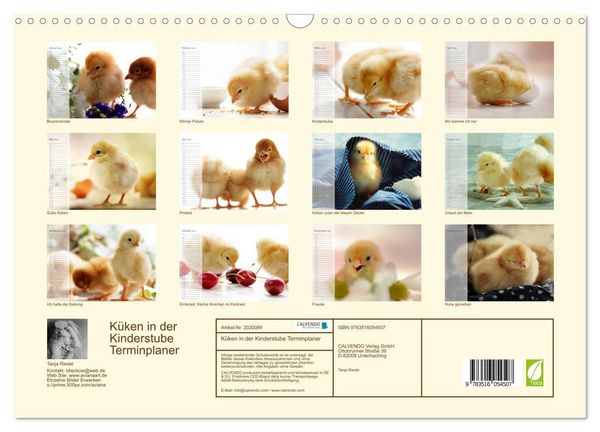 Produktbild: K&uuml;ken in der Kinderstube Terminplaner (Wandkalender 2026 DIN A3 quer), CALVENDO Monatskalender